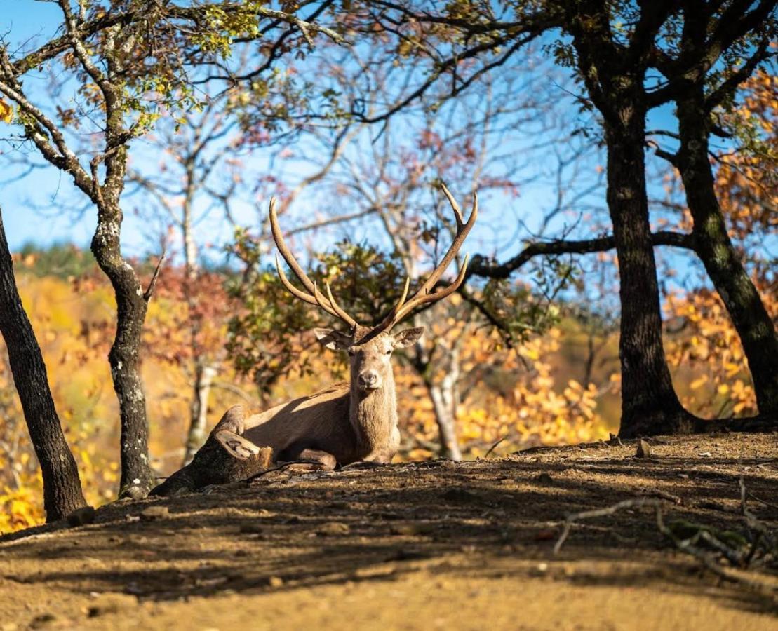 Bourazani Wild Life Resort Конитса Экстерьер фото