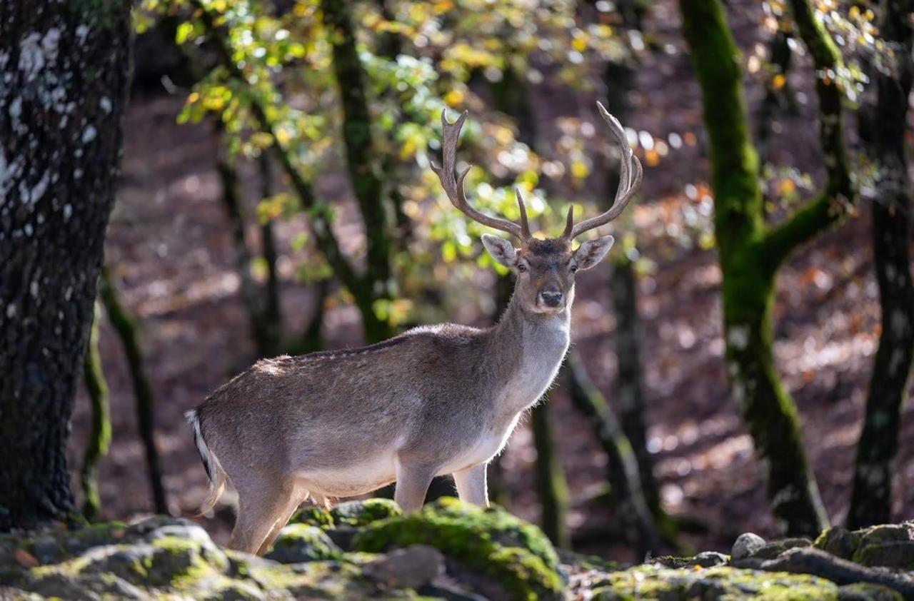 Bourazani Wild Life Resort Конитса Экстерьер фото
