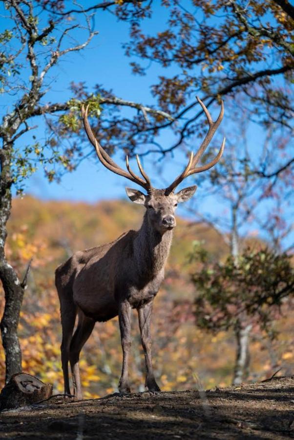 Bourazani Wild Life Resort Конитса Экстерьер фото