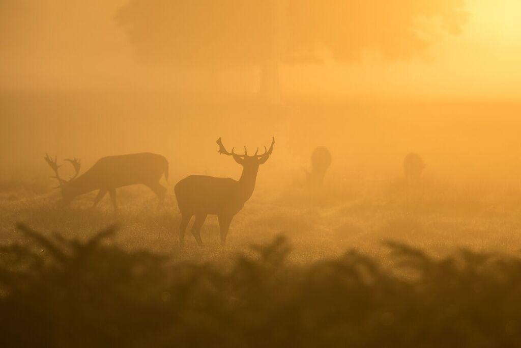 Bourazani Wild Life Resort Конитса Экстерьер фото